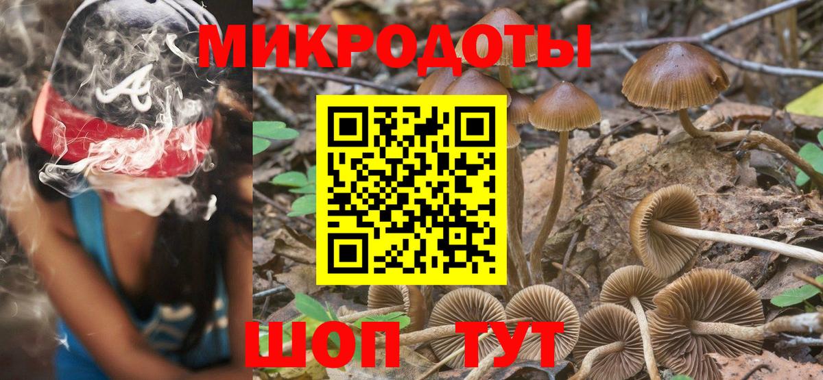Псилоцибиновые грибы мухоморы Ялуторовск
