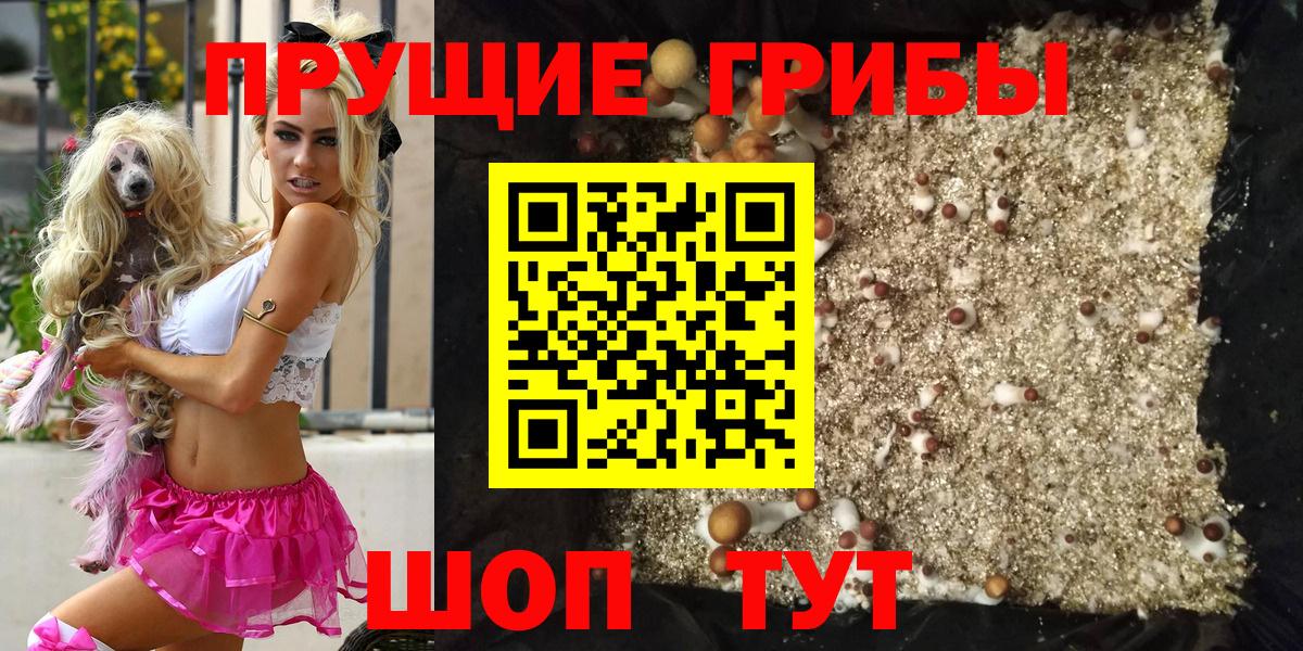 Псилоцибиновые грибы Cubensis  Вход с VPN  Ялуторовск 